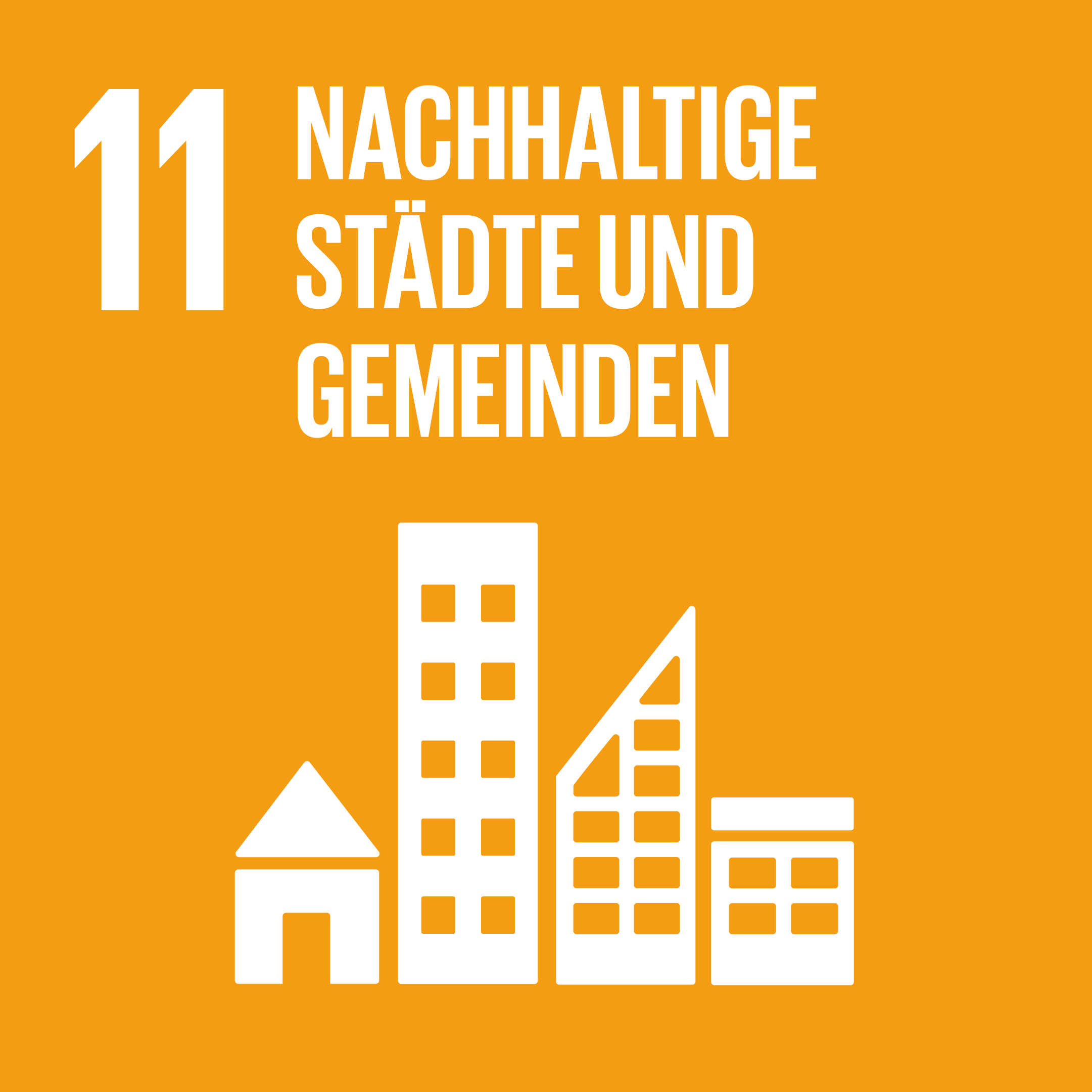 SDG 11