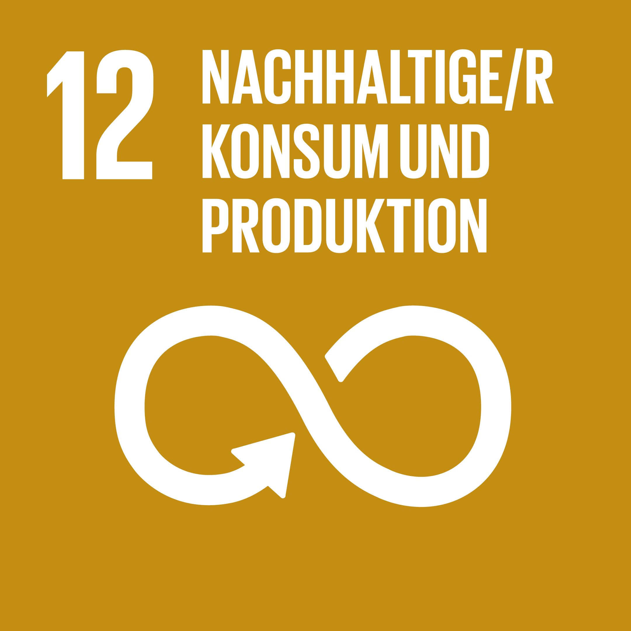 SDG12