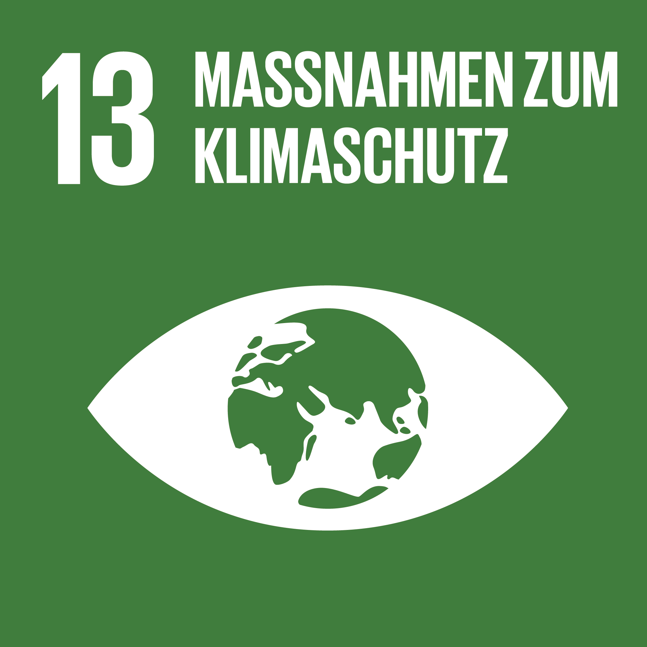 SDG 13