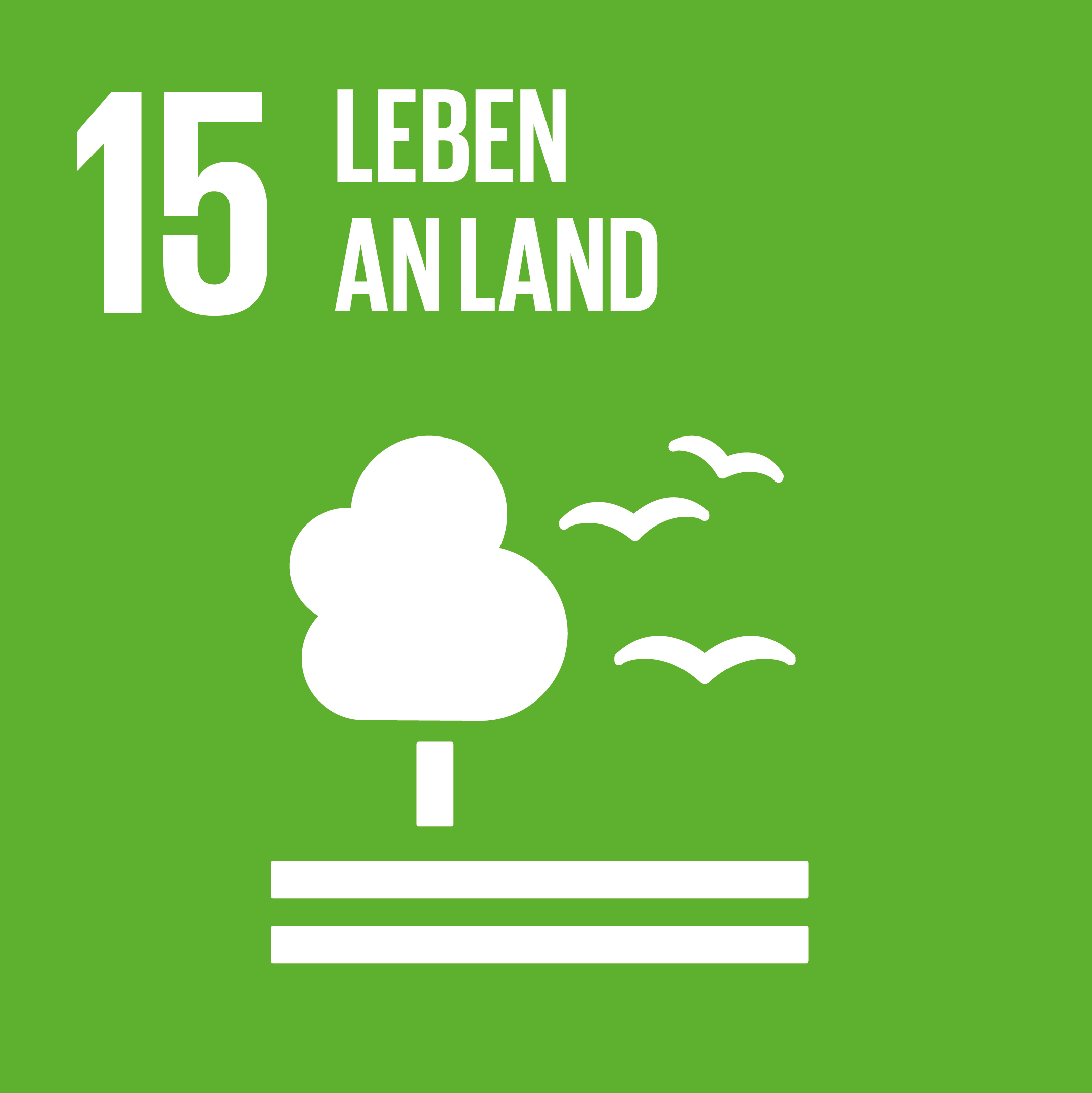 SDG 15